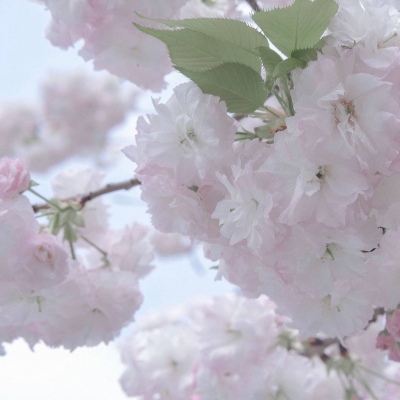 兽设天空场景设计FurryQQ群